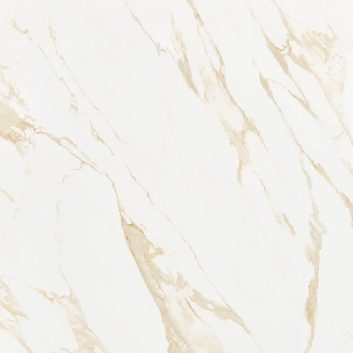 Classy Warm White 120x120, poza 1 din 3
