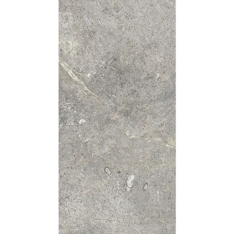 Ever Greige 60×120