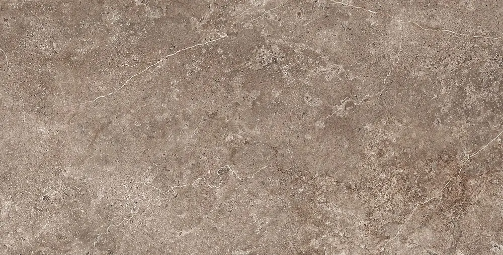 Landstone Earth 60×120, poza 1 din 1
