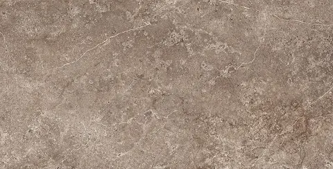 Landstone Earth 60×120