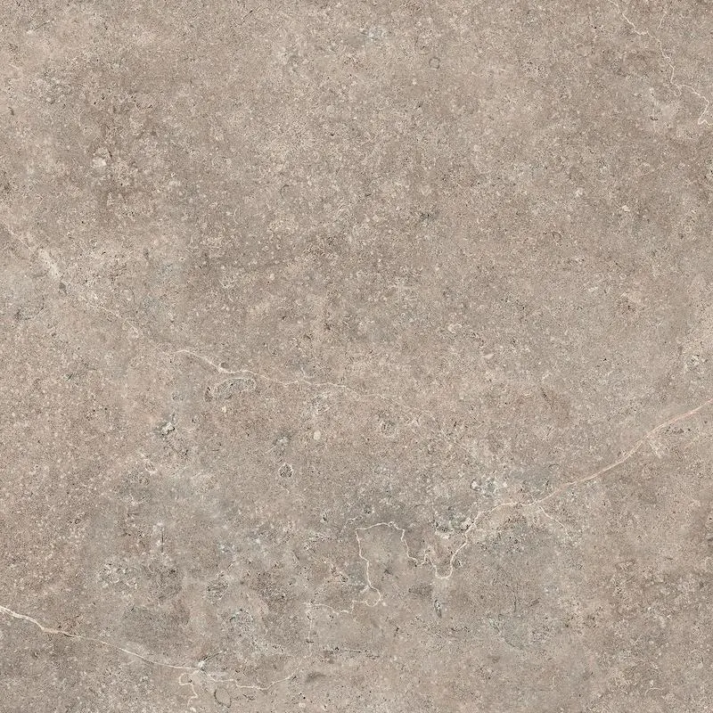 LST Taupe 120X120 20mm, poza 1 din 5