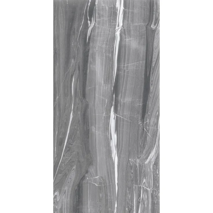 Luxe Dark Grey 60×120, poza 1 din 6