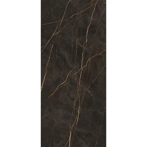 Saint Laurent 60×120