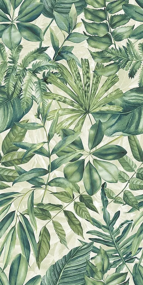 Wonderspace Exotic Naturale 60×120